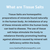 12 TISSUE SALTS BUNDLE - $299.99