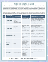 12 TISSUE SALTS BUNDLE - $299.99