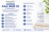 12 Schuessler Cell/Tissue Salts Kit 3X