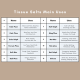 12 Schuessler Cell/Tissue Salts Kit 6X