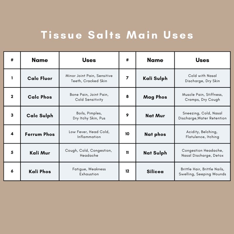 12 Schuessler Cell/Tissue Salts Kit 6X