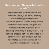 12 Schuessler Cell/Tissue Salts Kit 6X