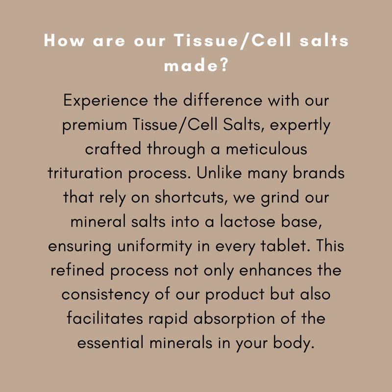 12 Schuessler Cell/Tissue Salts Kit 6X