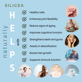 SILICEA
