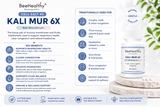 12 Schuessler Cell/Tissue Salts Kit 6X